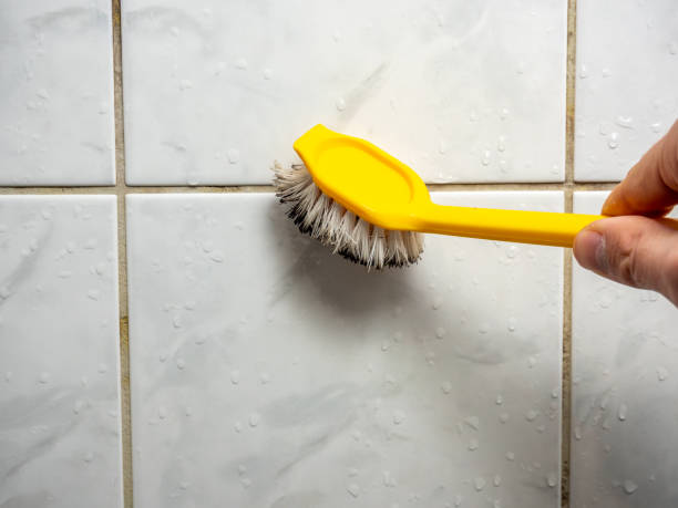 Best Water Damage Restoration  in Idylwood, VA