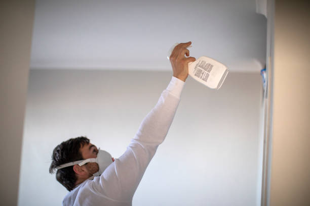 Best Local Mold Removal Service  in Idylwood, VA