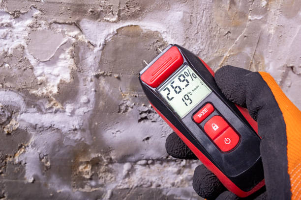 Best Mold Removal Specialists  in Idylwood, VA