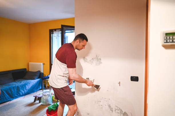 Idylwood, VA Mold Removal Company